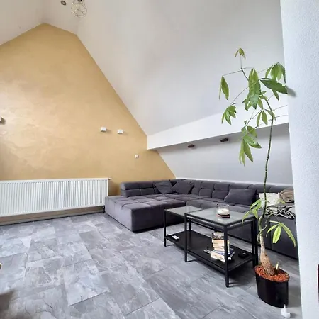 Appartement Gemuetliche Offene Loftwohnung Naehe Messe Karlsruhe *